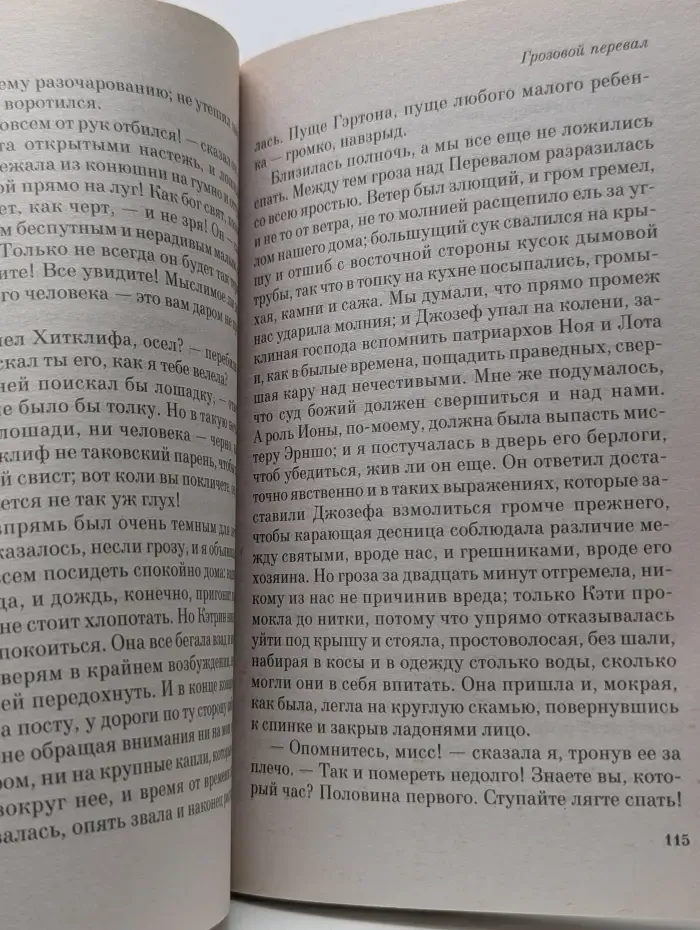 100 главных книг. Грозовой перевал