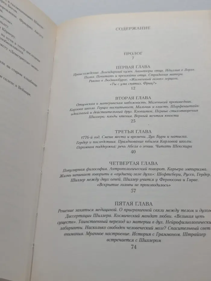 Шиллер, или Открытие немецкого идеализма