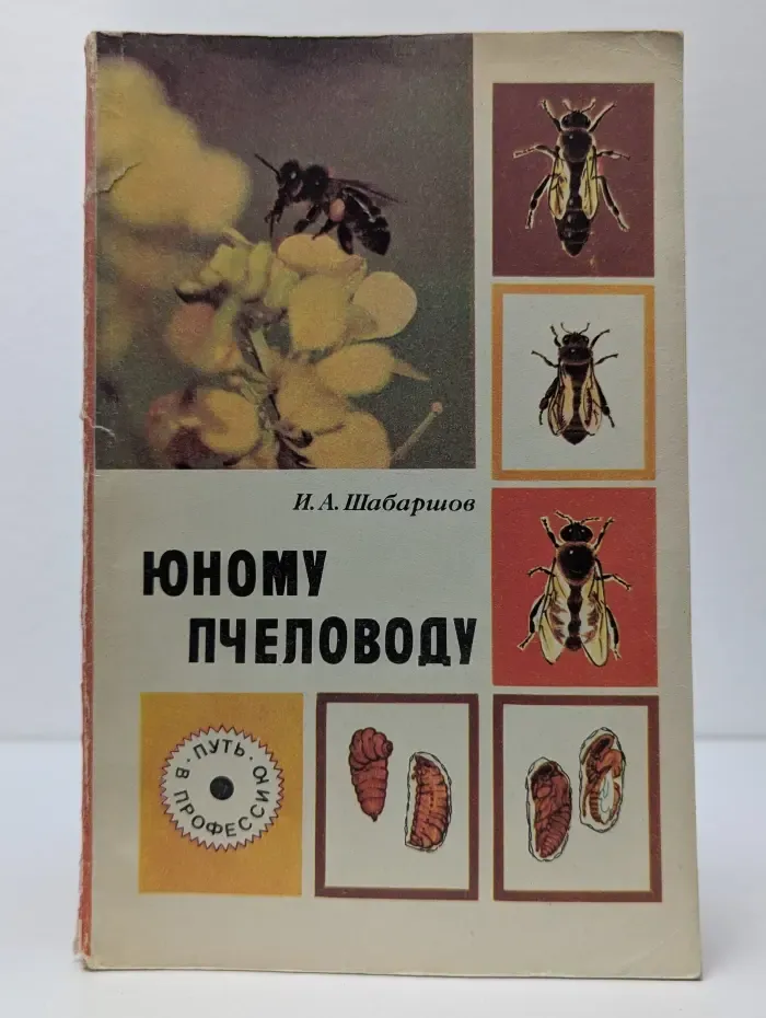 Юному пчеловоду