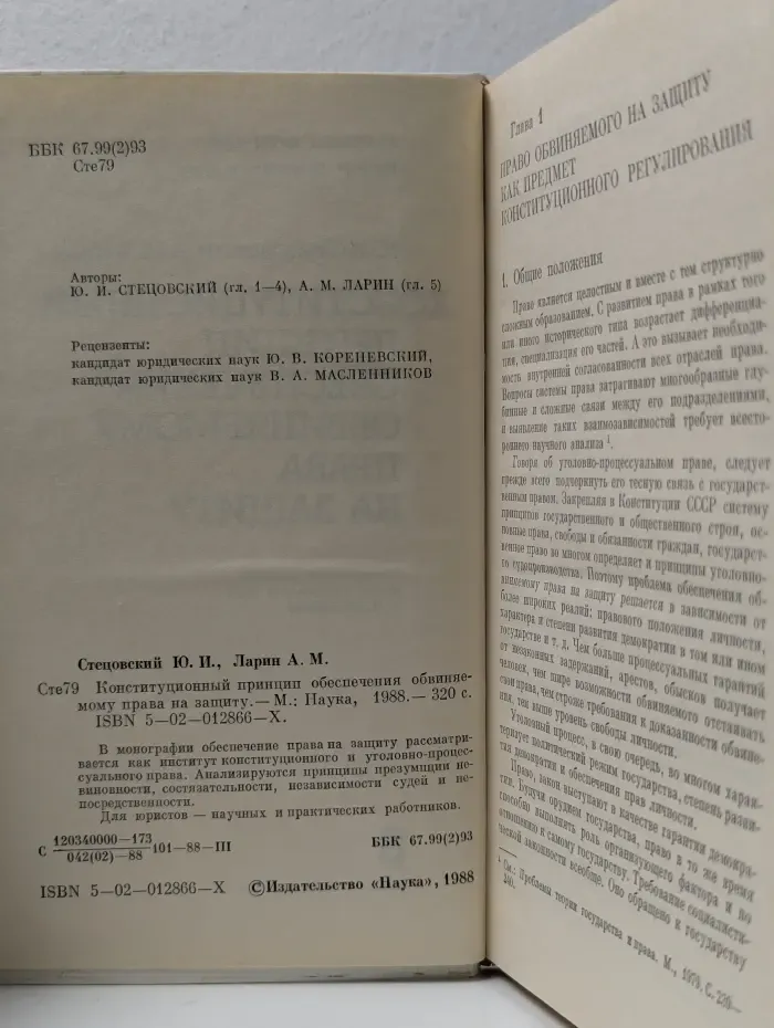 Конституционный принцип обеспечения обвиняемому права на защиту