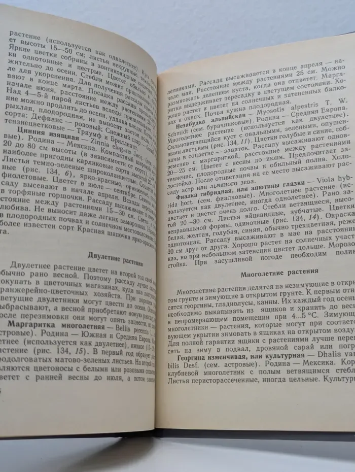 Цветы в комнате и на балконе