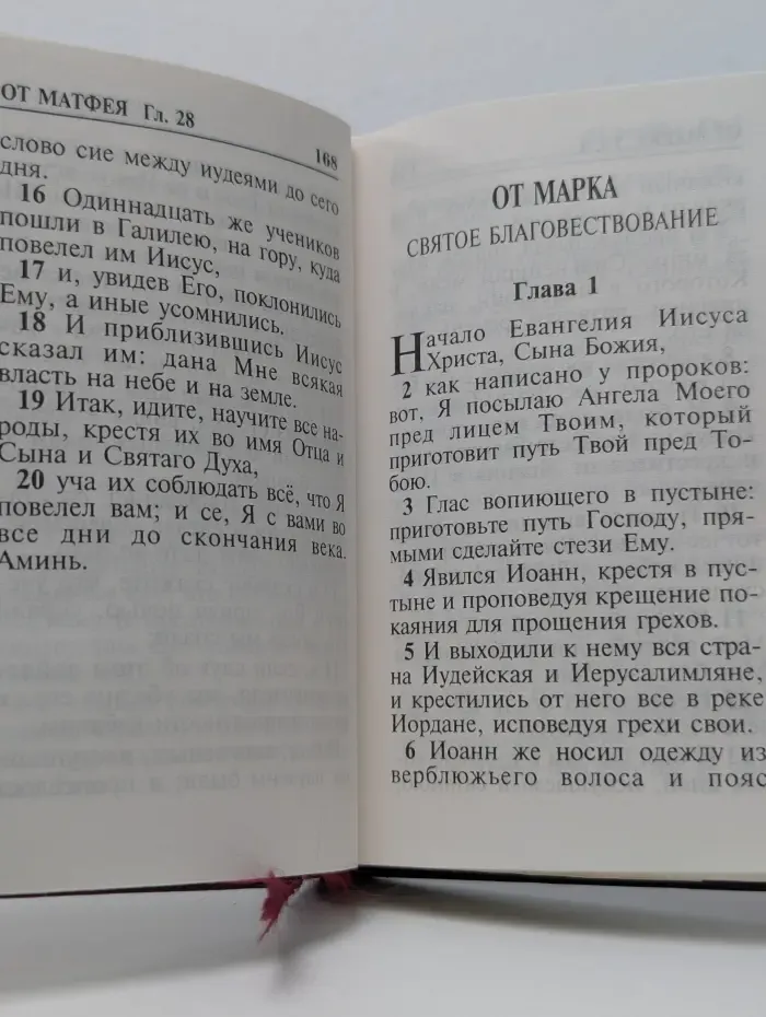 Новый Завет Господа нашего Иисуса Христа. Том 1
