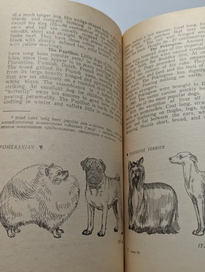 What do you know about dogs?