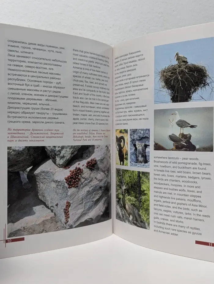 Путеводитель. Армения. НКР. Guide-book. Armenia. NKR