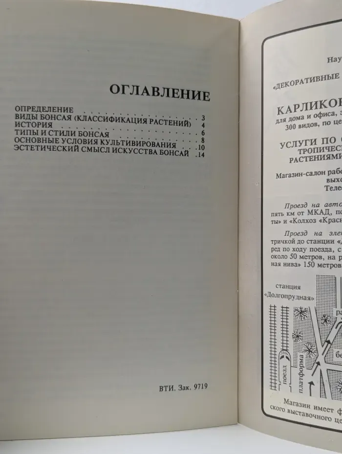 Бонсай в Японии. История. Теория. практика
