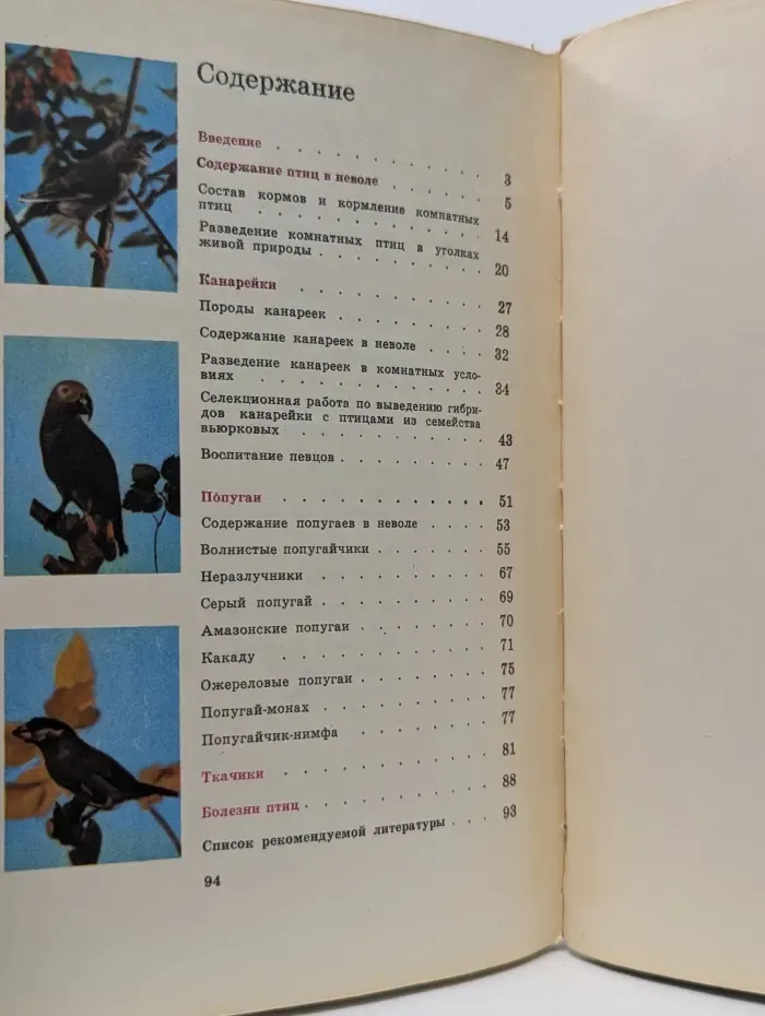 Птицы в уголке живой природы