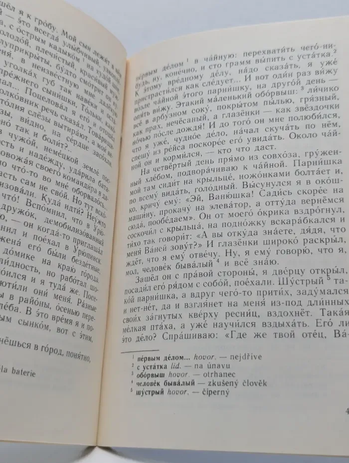 Домашнее чтение. Судьба человека