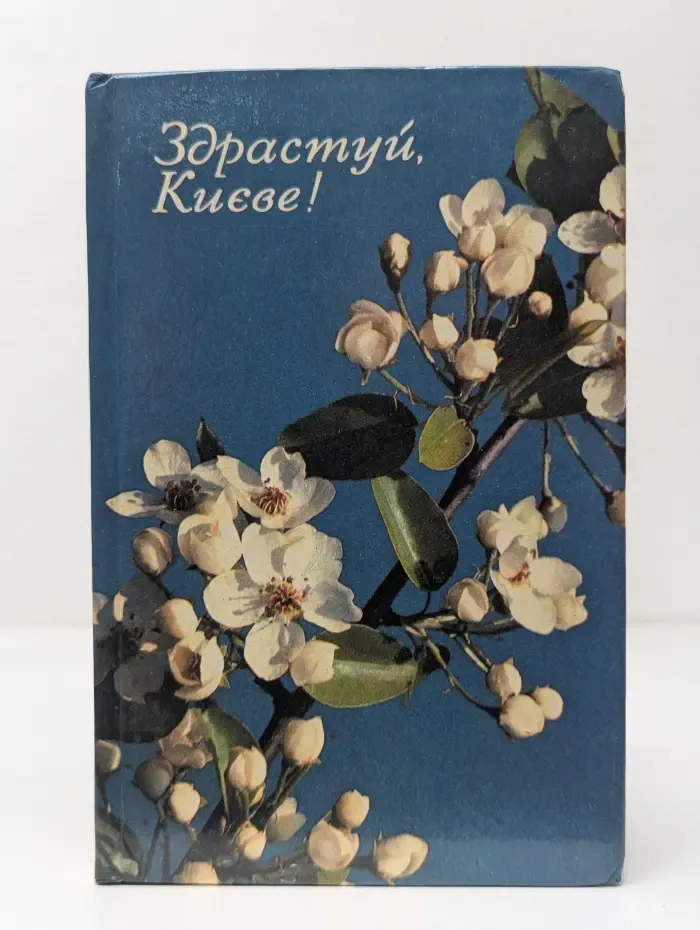Здравствуй, Киев!