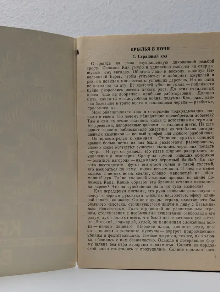 Крылья в ночи