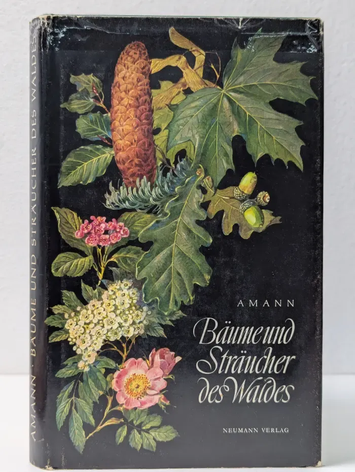 Baume und Straucher des Waldes. Деревья и кустарники леса