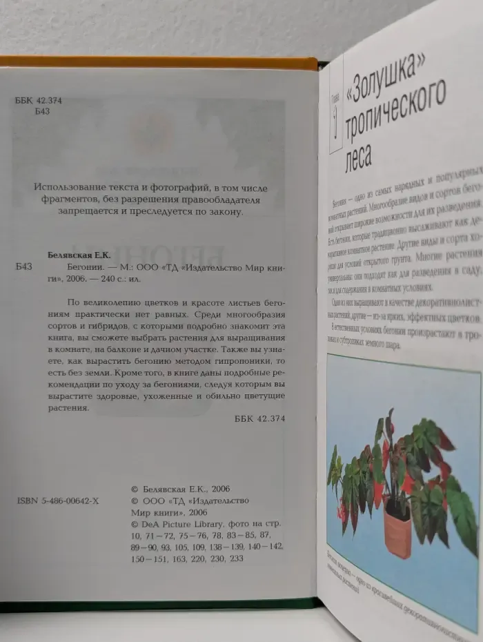 Энциклопедия комнатного цветоводства. Бегонии