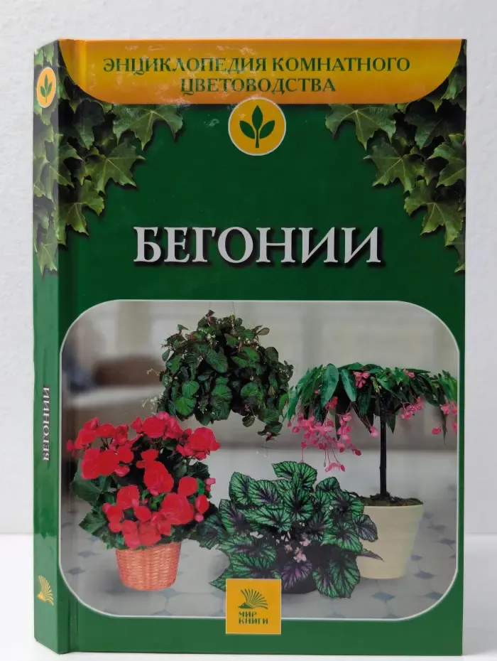 Энциклопедия комнатного цветоводства. Бегонии