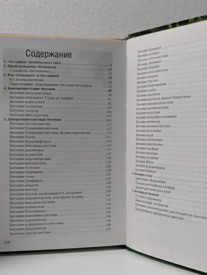 Энциклопедия комнатного цветоводства. Бегонии