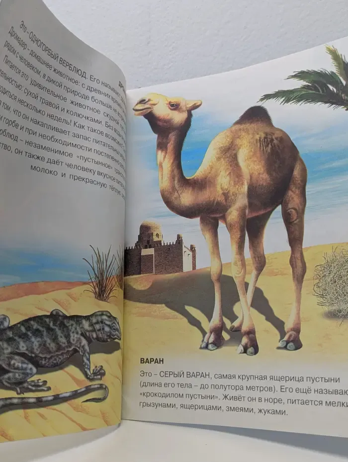 Книжка с наклейками. Кто живет в Азии