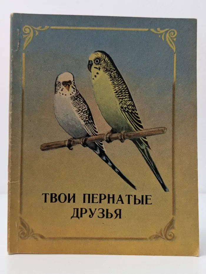 Твои пернатые друзья