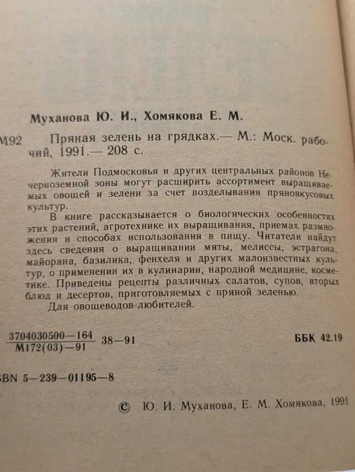 Пряная зелень на грядках