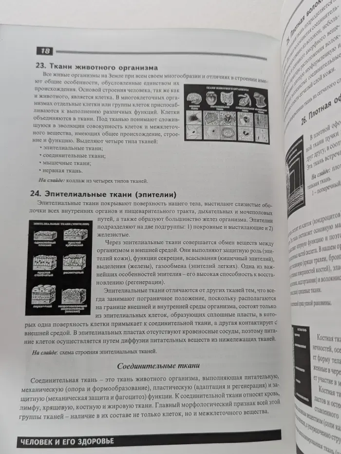 Мир биологии. Человек и его здоровье. 100 цветных диапозитивов с методическими комментариями