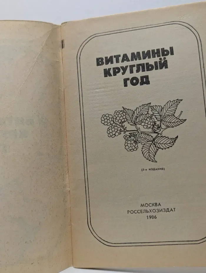 Витамины круглый год