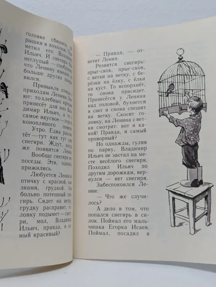 Мои первые книжки. Снегирь