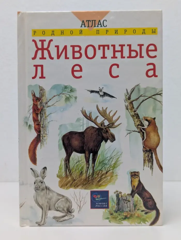 Атлас родной природы. Животные леса