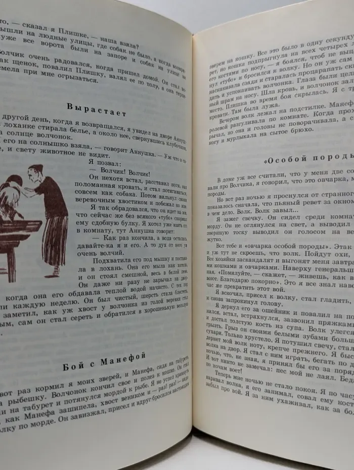 Семь огней