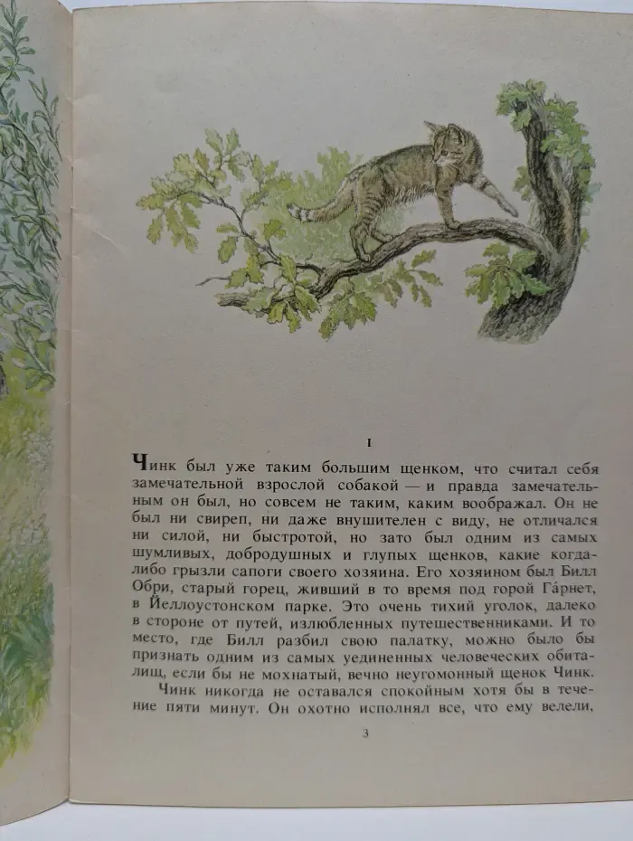 Чинк