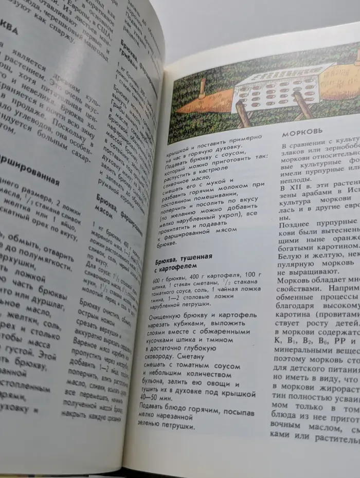 Молодой семье о кулинарии