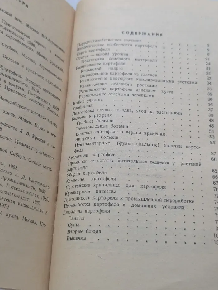 Все о картофеле