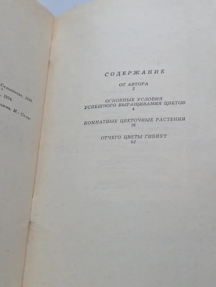 Цветы в квартире