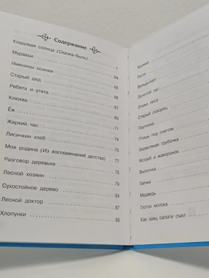 Школьная библиотека. Кладовая солнца