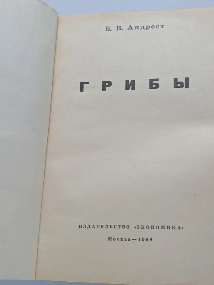 Грибы
