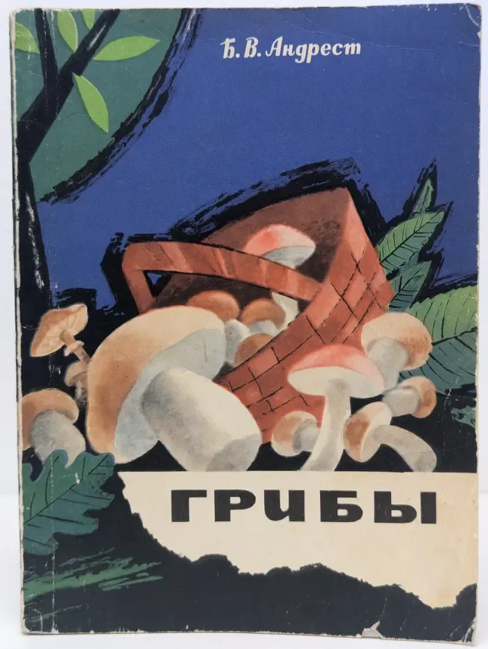 Грибы