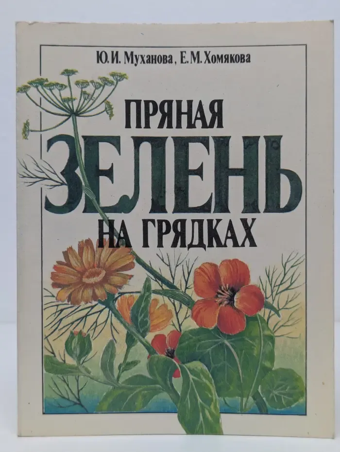 Пряная зелень на грядках