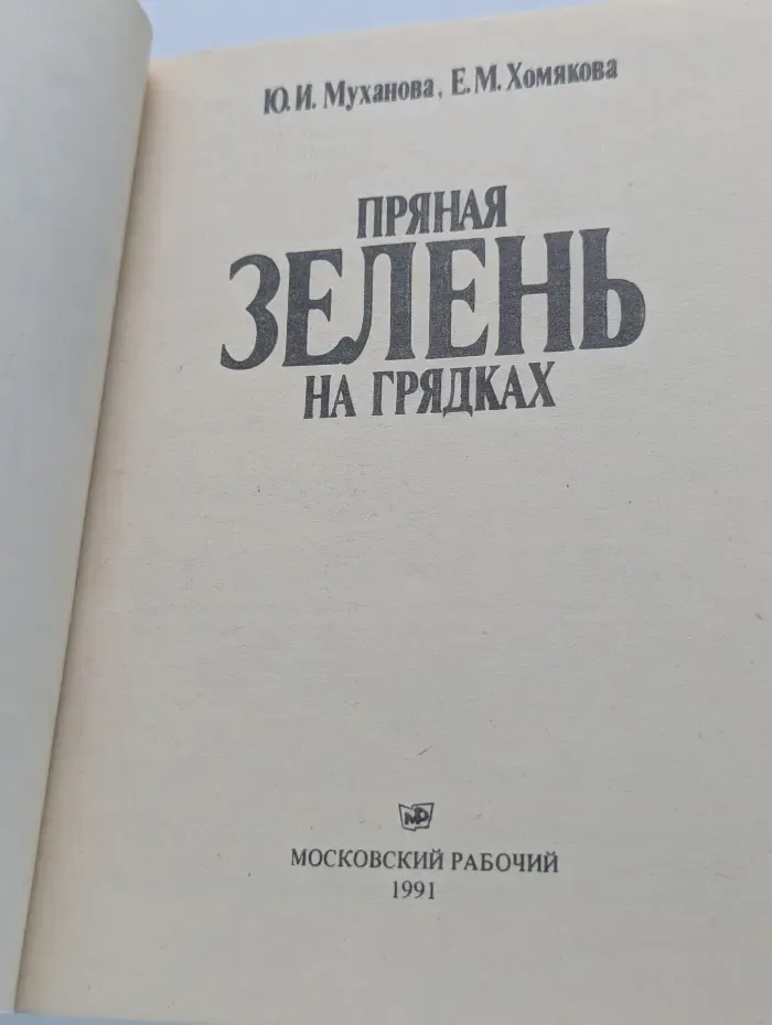 Пряная зелень на грядках