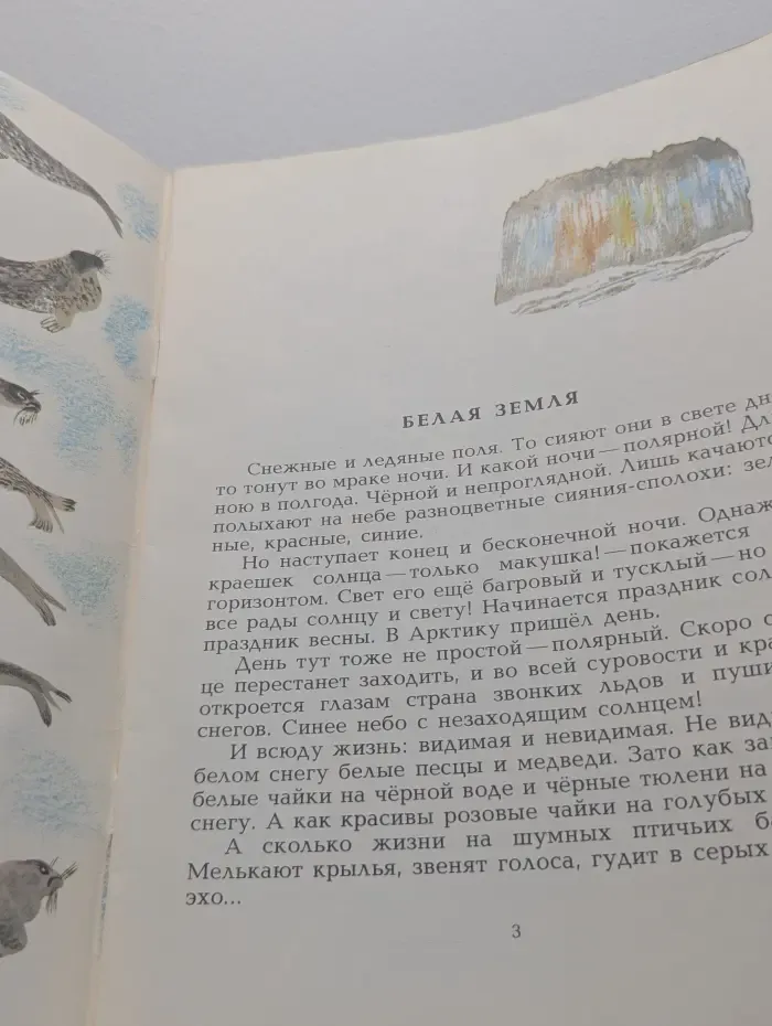 Во льдах