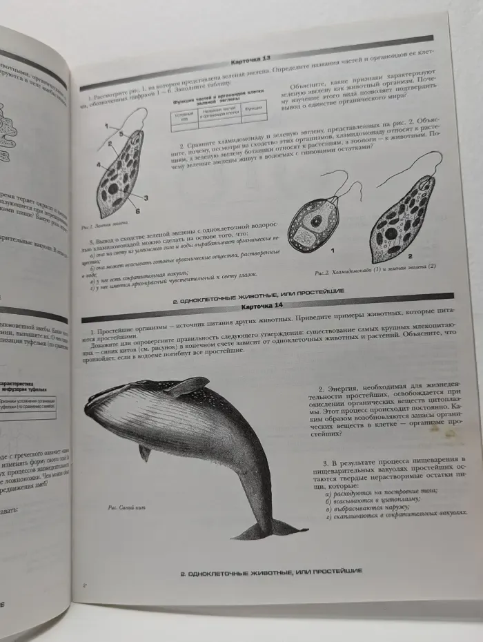Библиотека журнала "Биология в школе". Животные. Дидактические карточки