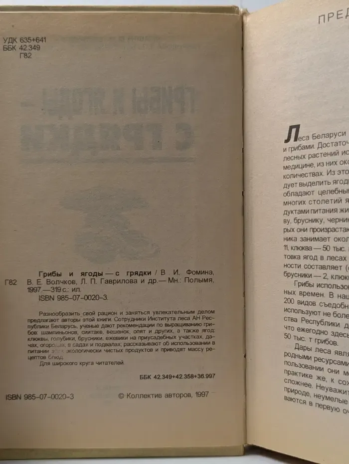 Грибы и ягоды-с грядки
