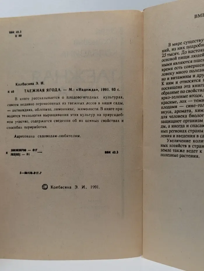 Таежная ягода