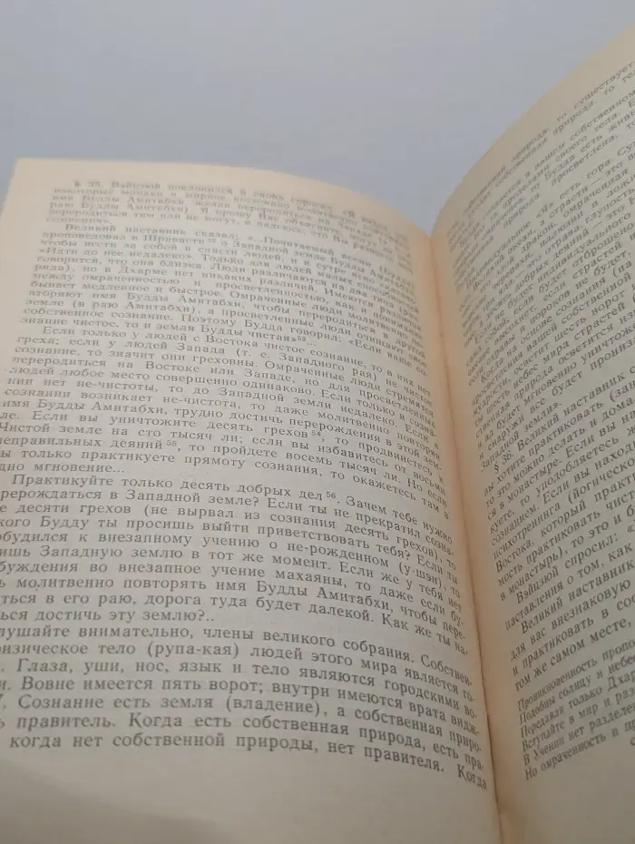 Дзен. Ослы не выдерживают пинка дракона