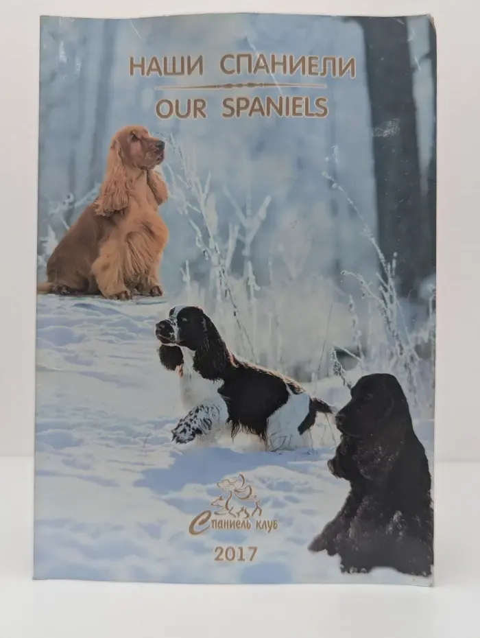 Наши спаниели. Our Spaniels