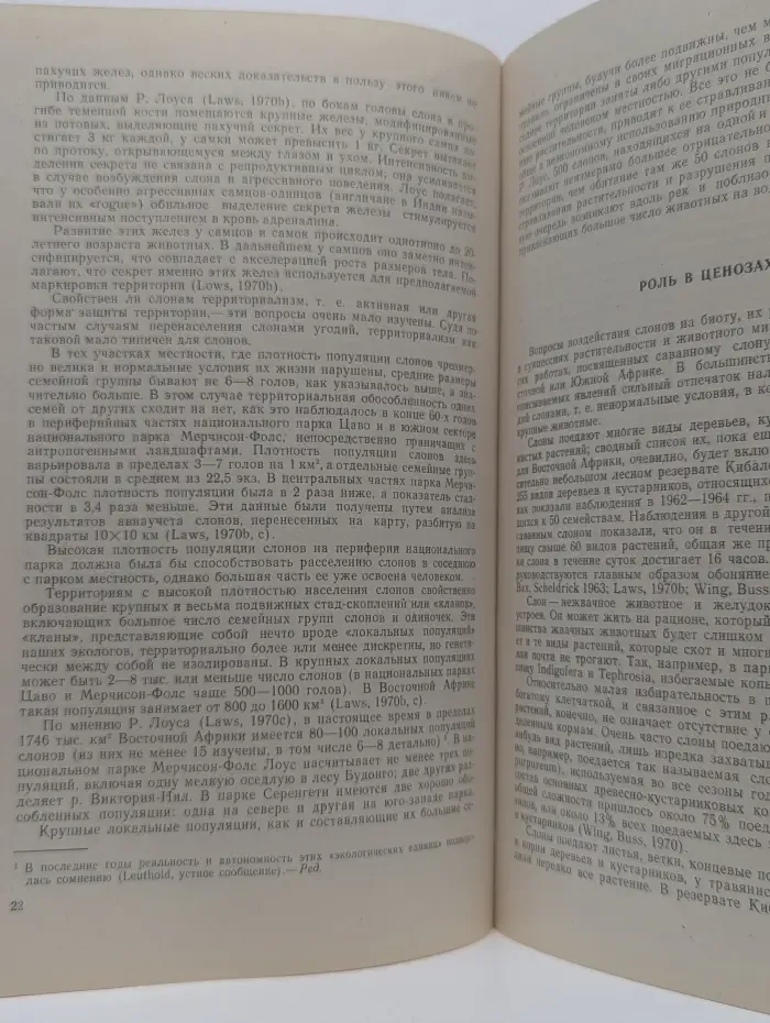 Африканский слон