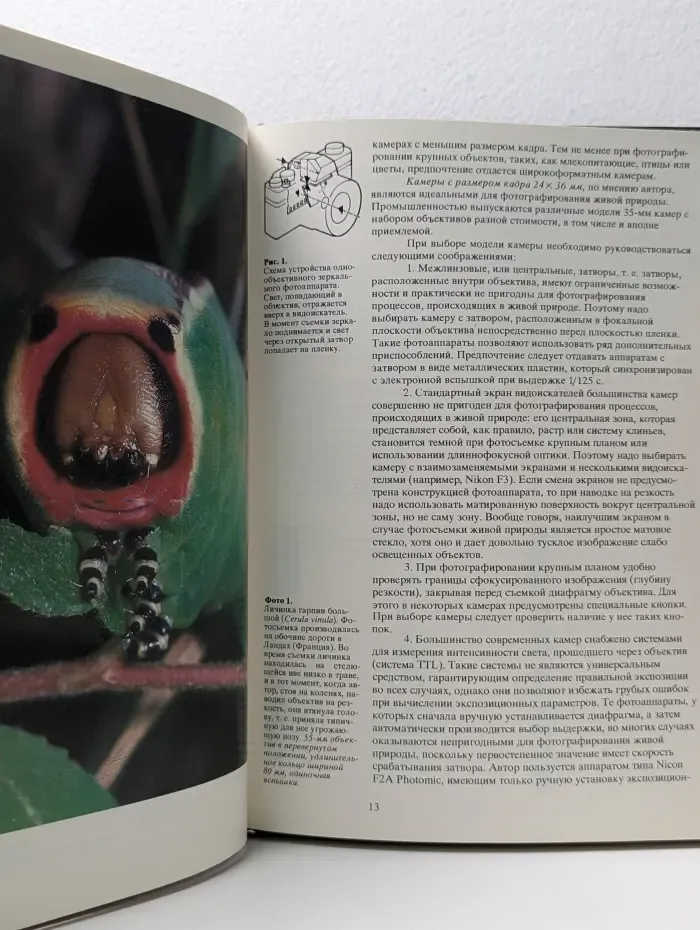 Фотографирование живой природы