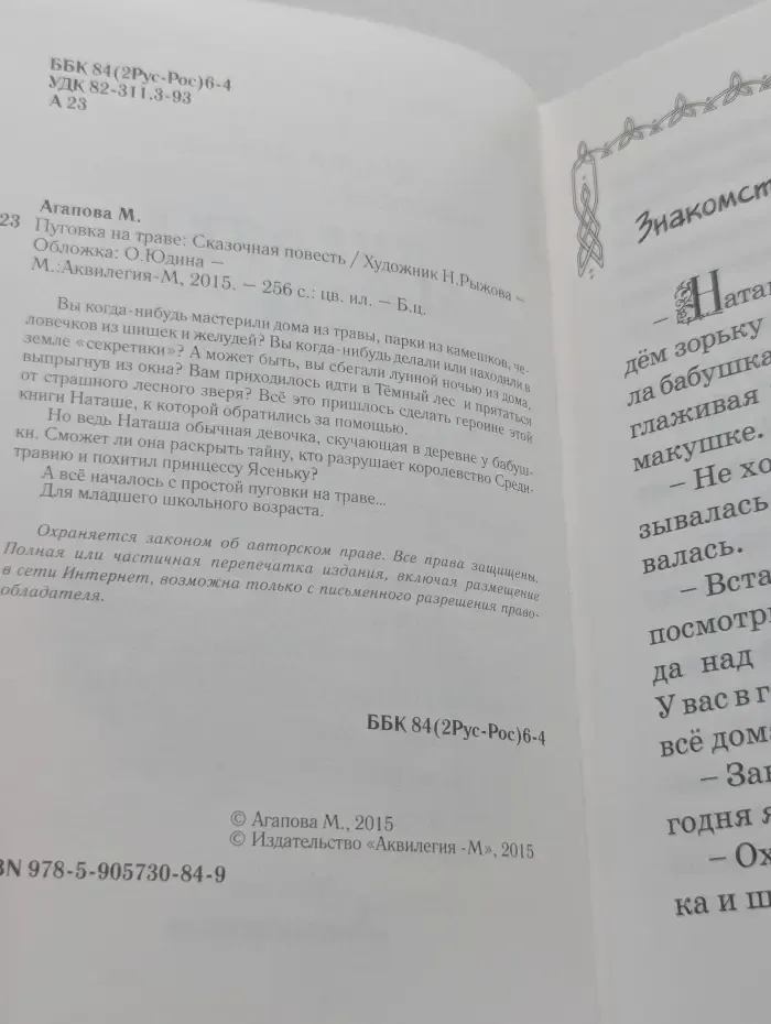 Пуговка на траве
