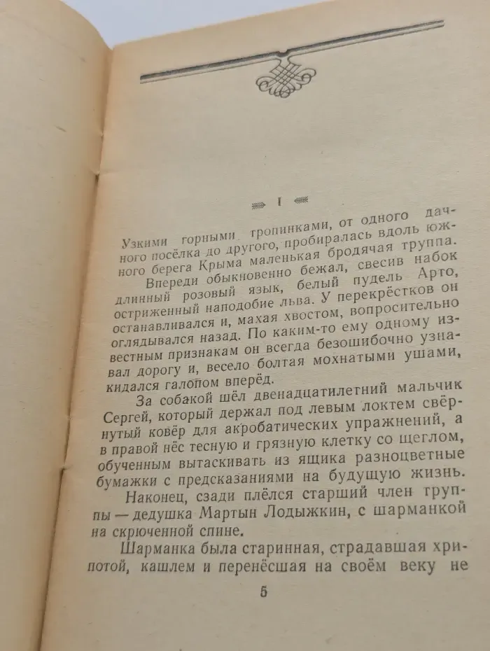 Белый пудель