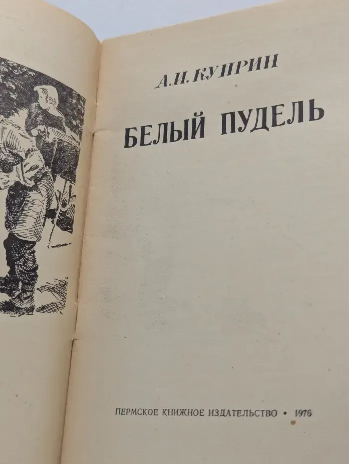 Белый пудель