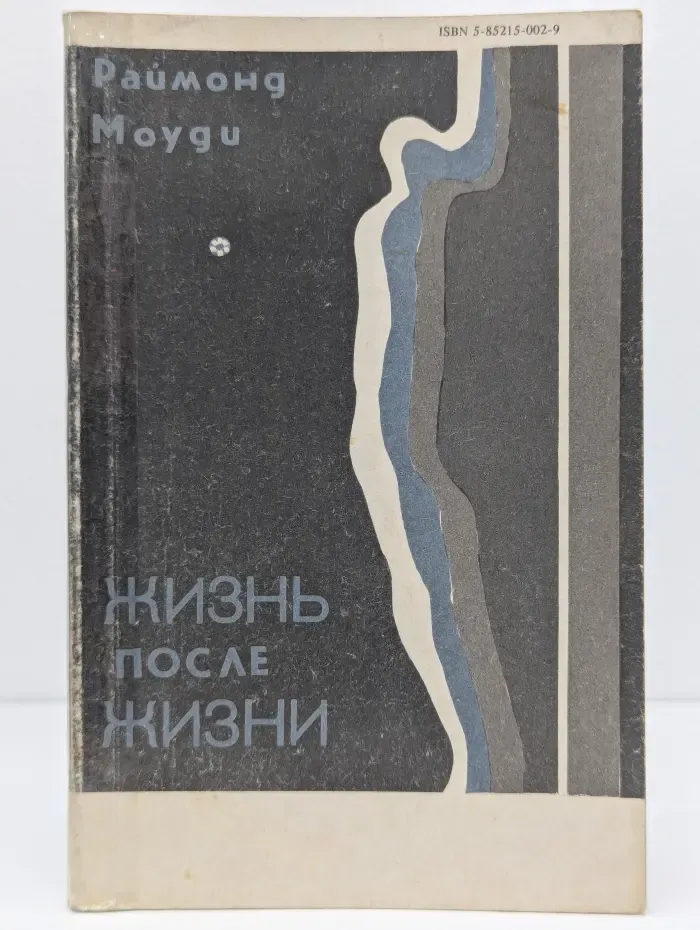 Жизнь после жизни