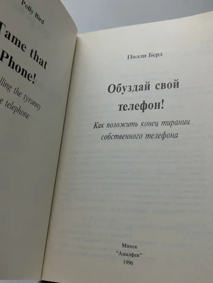 Стратегия успеха. Обуздай свой телефон