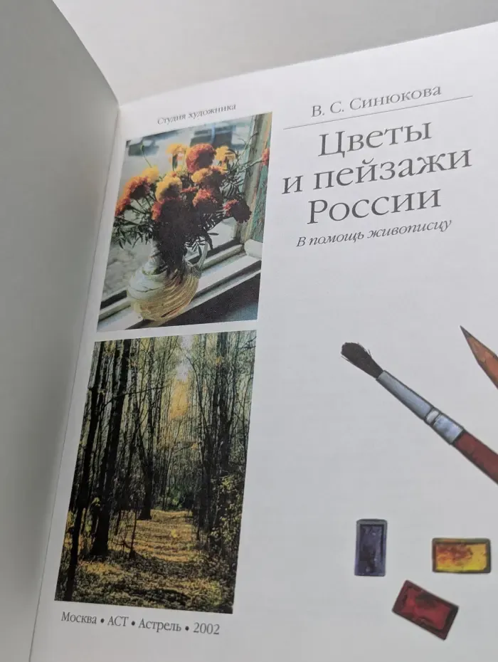 Цветы и пейзажи России. В помощь живописцу