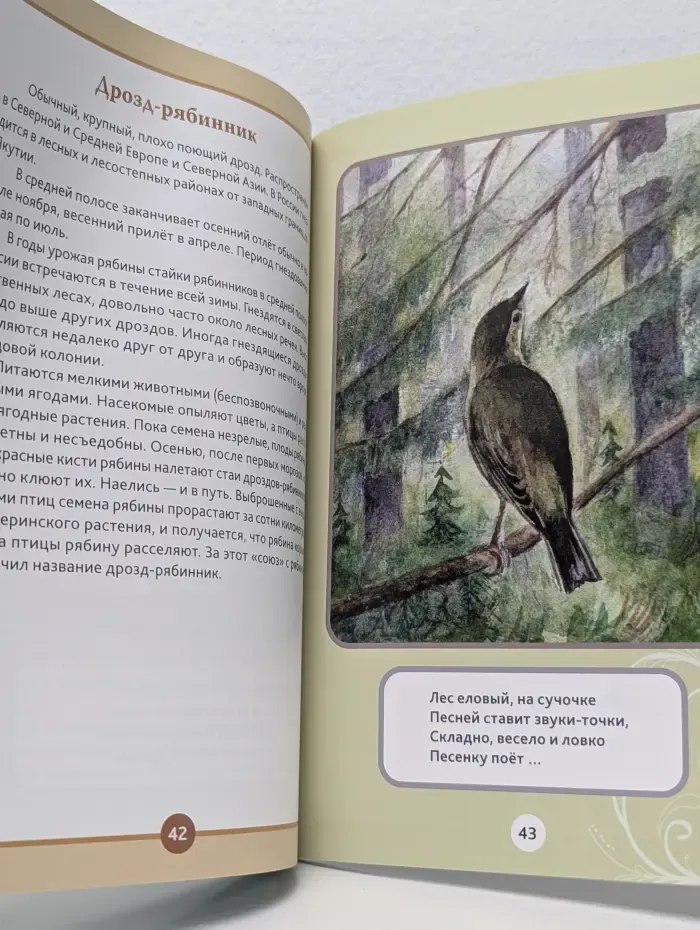 Поющая книга. Птицы в загадках