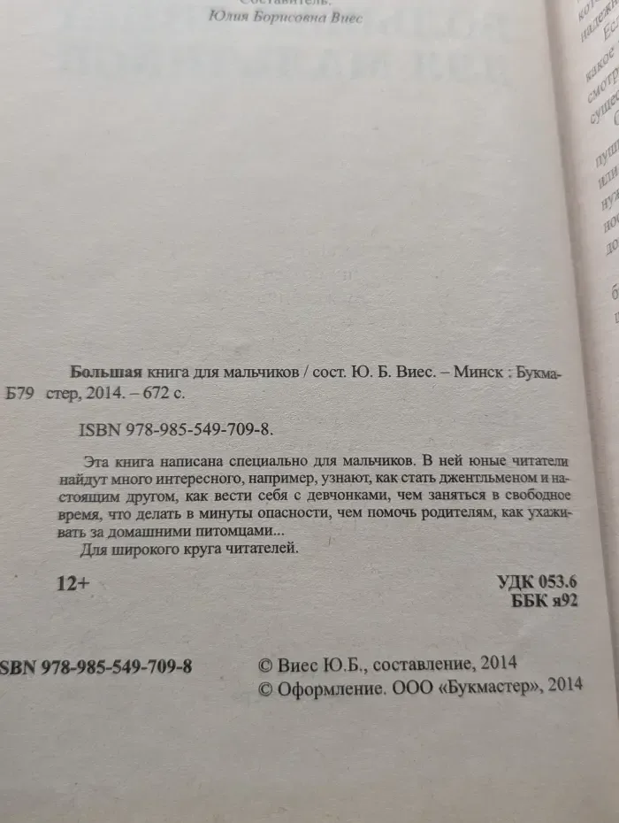 Большая книга для мальчиков